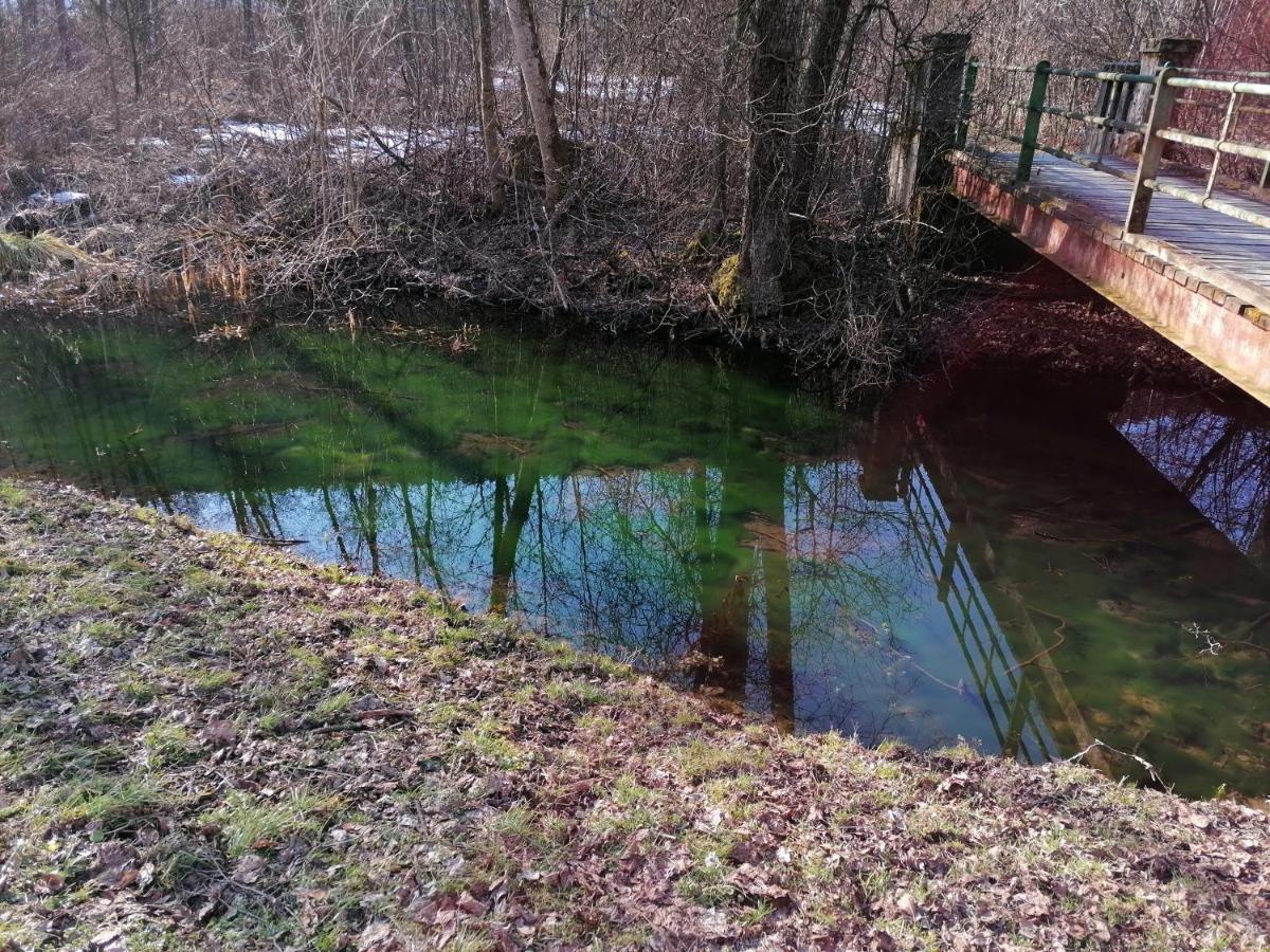 Ferienwohnung Resi Mit Traumhaftem Seepanorama Steindorf am Ossiacher See Dış mekan fotoğraf