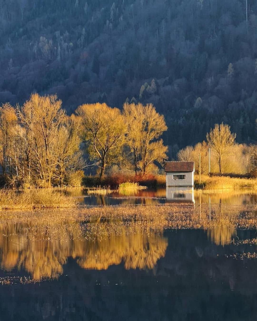 Ferienwohnung Resi Mit Traumhaftem Seepanorama Steindorf am Ossiacher See Dış mekan fotoğraf