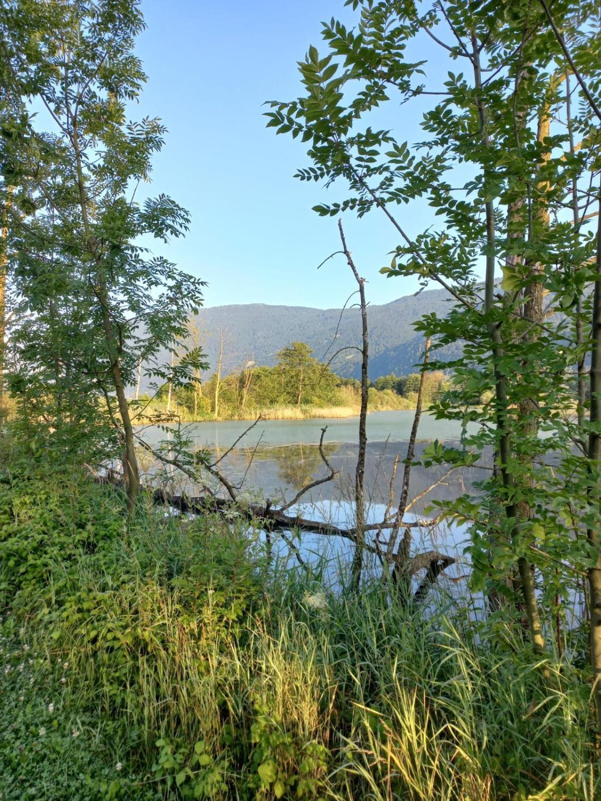 Ferienwohnung Resi Mit Traumhaftem Seepanorama Steindorf am Ossiacher See Dış mekan fotoğraf