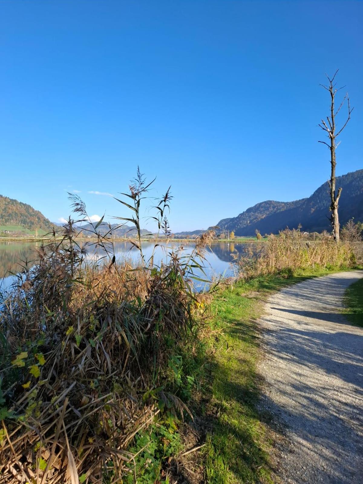 Ferienwohnung Resi Mit Traumhaftem Seepanorama Steindorf am Ossiacher See Dış mekan fotoğraf