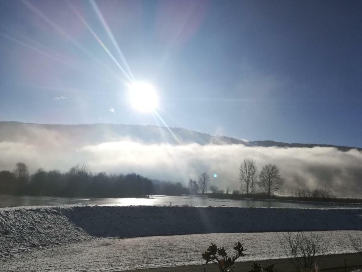 Ferienwohnung Resi Mit Traumhaftem Seepanorama Steindorf am Ossiacher See Dış mekan fotoğraf