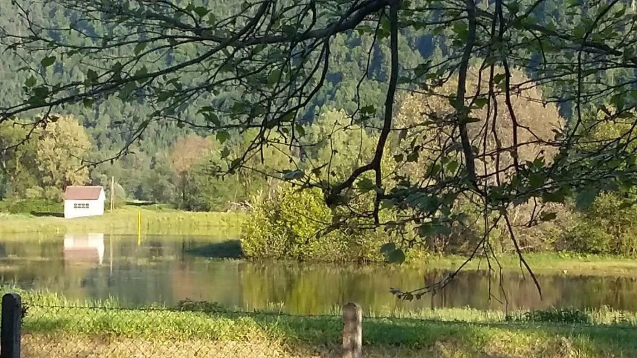 Ferienwohnung Resi Mit Traumhaftem Seepanorama Steindorf am Ossiacher See Dış mekan fotoğraf