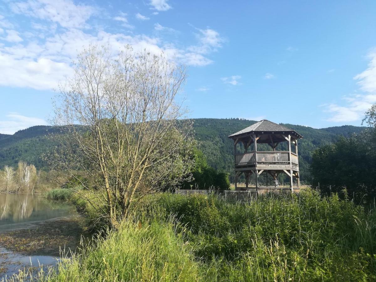 Ferienwohnung Resi Mit Traumhaftem Seepanorama Steindorf am Ossiacher See Dış mekan fotoğraf