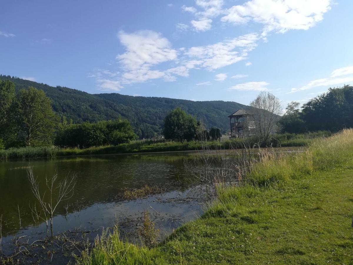 Ferienwohnung Resi Mit Traumhaftem Seepanorama Steindorf am Ossiacher See Dış mekan fotoğraf