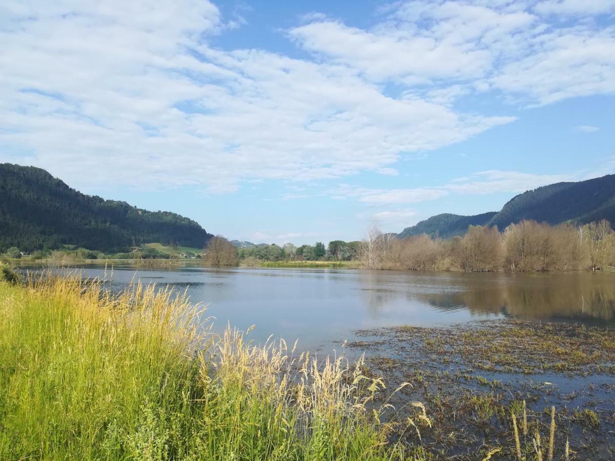 Ferienwohnung Resi Mit Traumhaftem Seepanorama Steindorf am Ossiacher See Dış mekan fotoğraf
