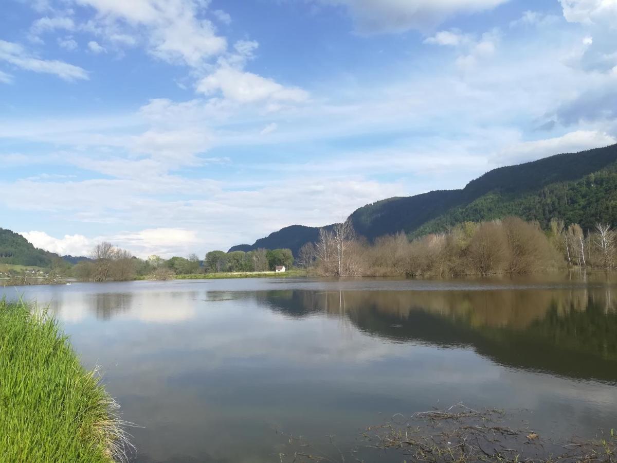 Ferienwohnung Resi Mit Traumhaftem Seepanorama Steindorf am Ossiacher See Dış mekan fotoğraf
