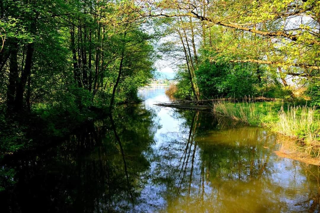 Ferienwohnung Resi Mit Traumhaftem Seepanorama Steindorf am Ossiacher See Dış mekan fotoğraf